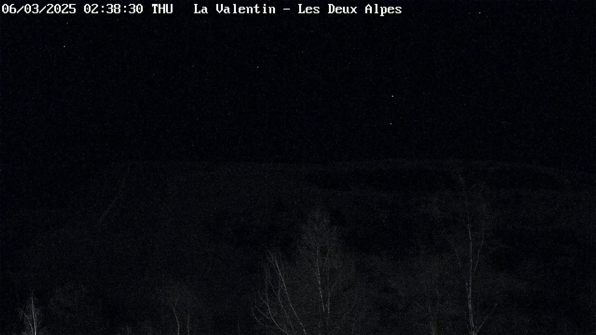 A nighttime, low-light image shows a dark landscape with a few bare trees in the bottom and a starry sky above.