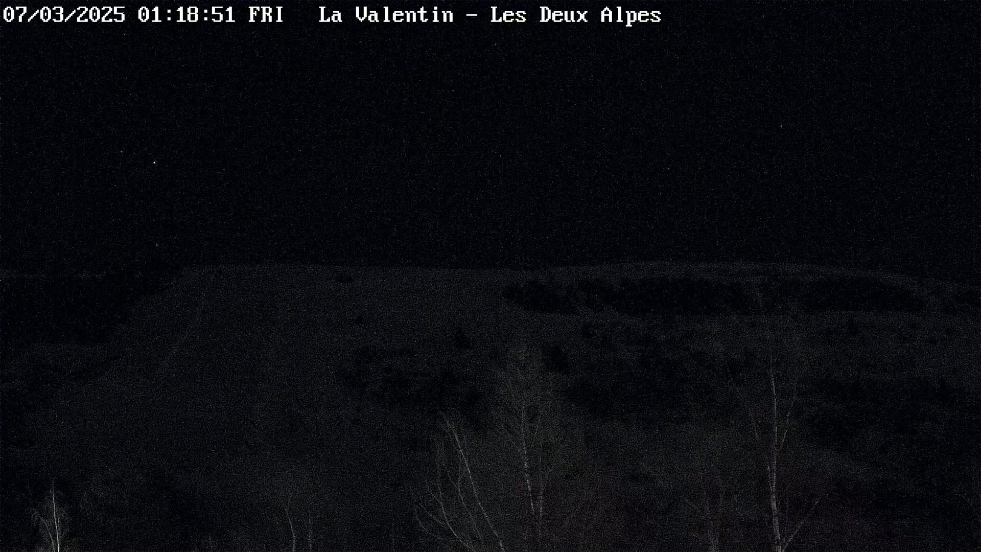 A nighttime, snow-covered landscape is visible, featuring a few sparsely distributed trees under a dark, starry sky.