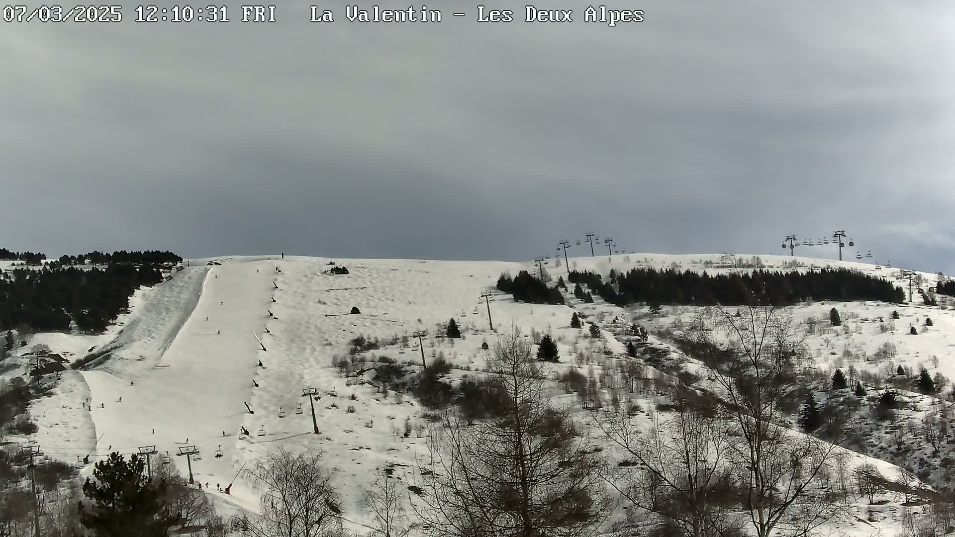 A snow-covered ski slope with several ski lifts and sparsely wooded areas under an overcast sky.
