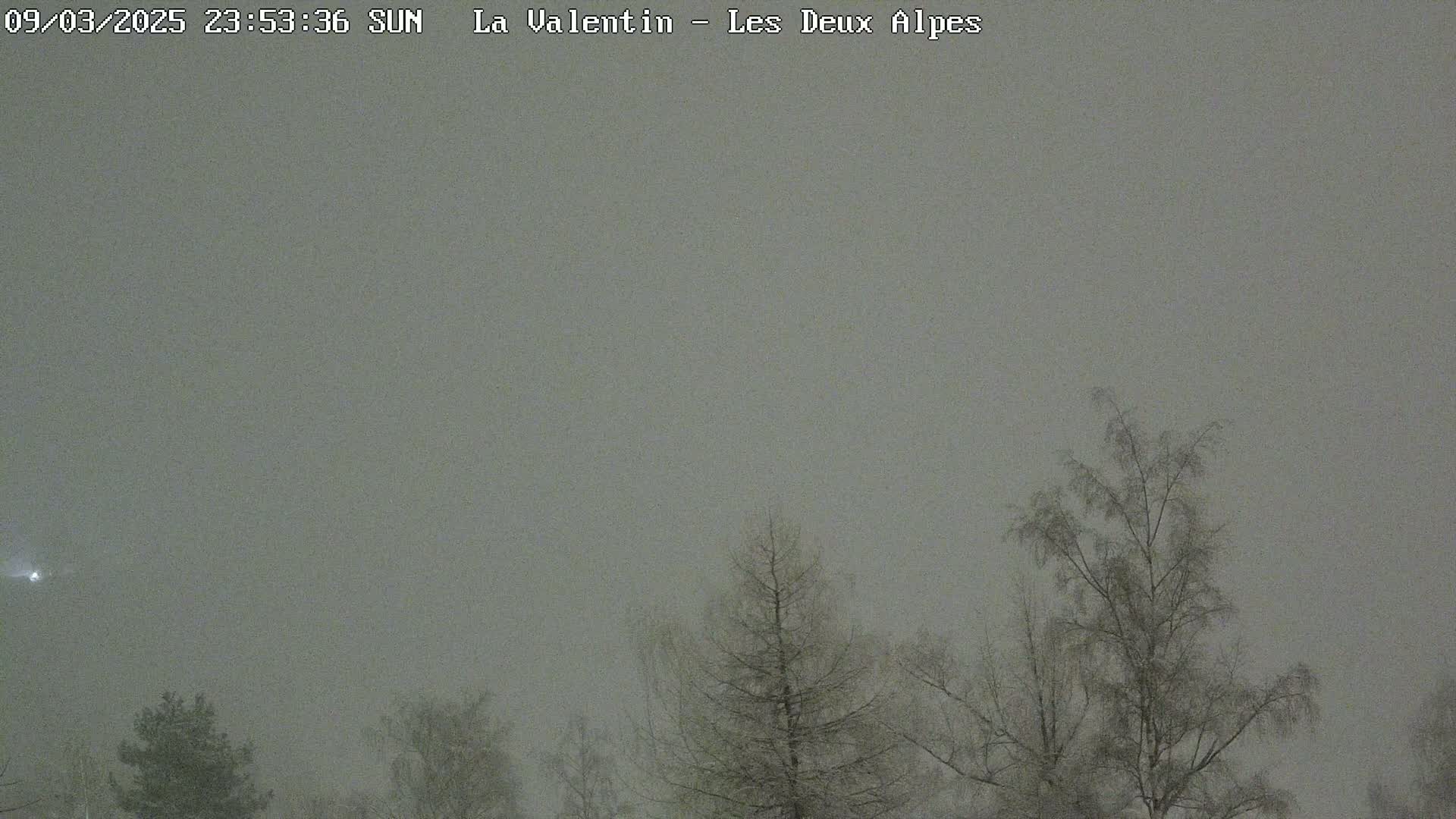 Bare trees are silhouetted against a heavily overcast, snowy sky.