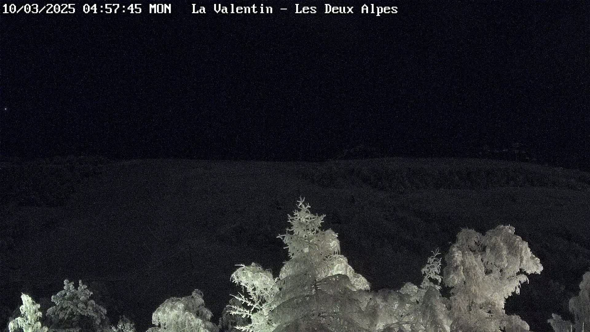 A nighttime view of snow-covered trees under a dark sky.