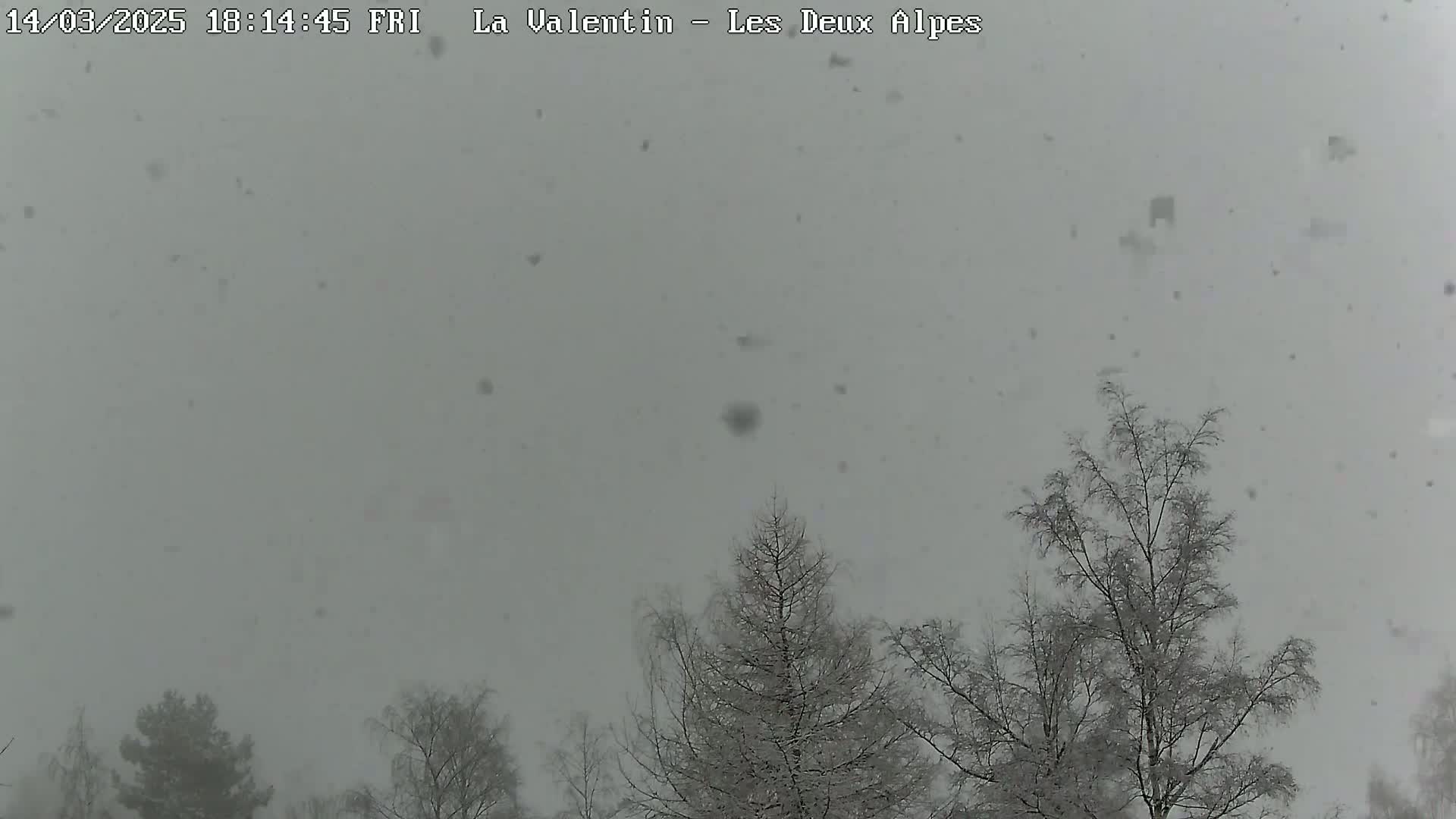 Snow falls heavily over leafless trees.
