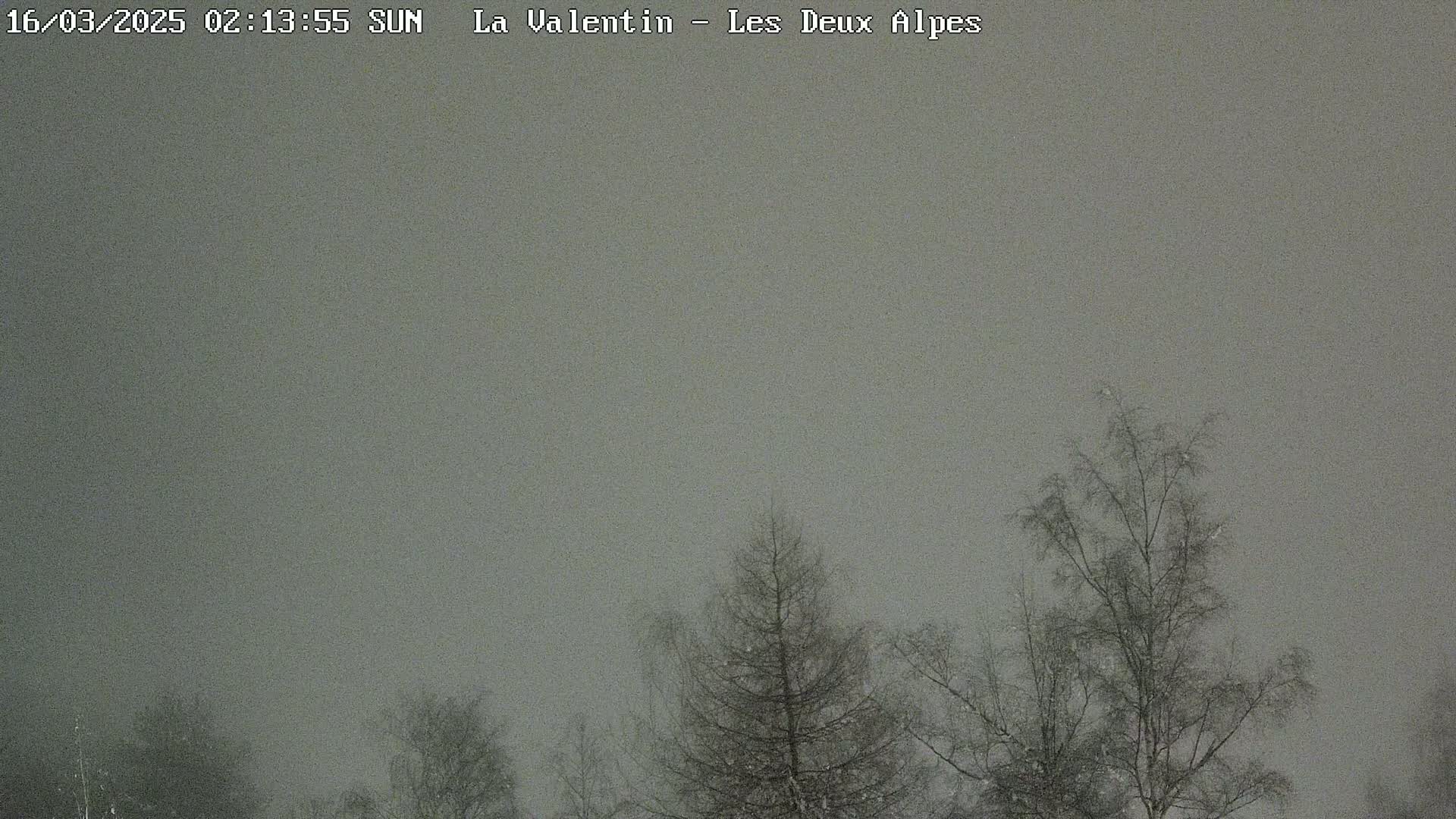 Snow falls over leafless trees under a gray sky.