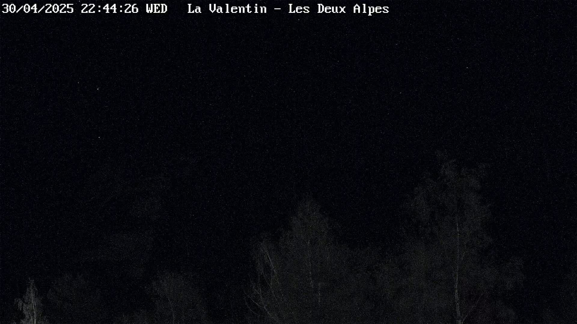 A nighttime view of dark trees under a clear, starry sky.