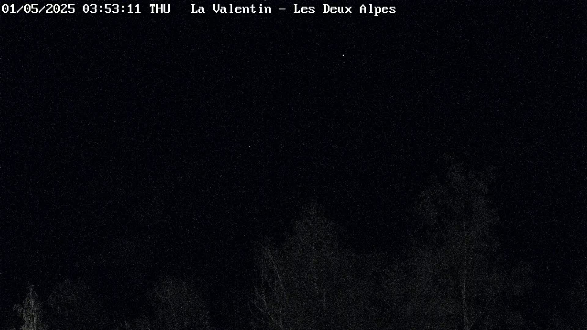 A nighttime, low-light image shows dark, indistinct shapes that appear to be trees against a black sky.