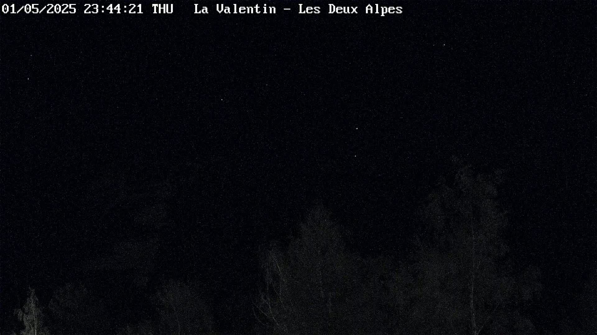 A nighttime view shows dark silhouettes of trees under a clear, starry sky.
