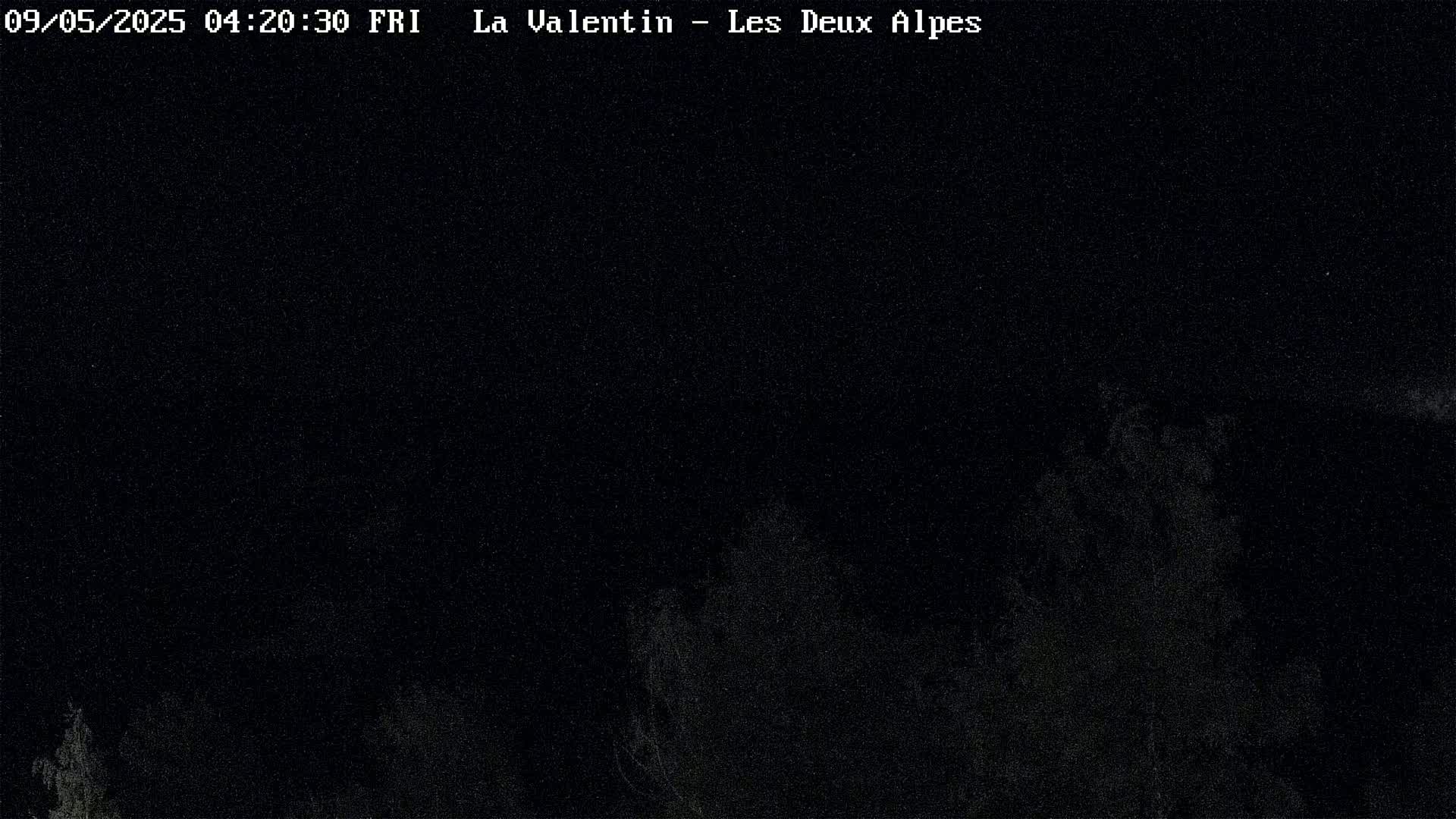 A nighttime, low-light image shows dark trees and a mostly clear sky.