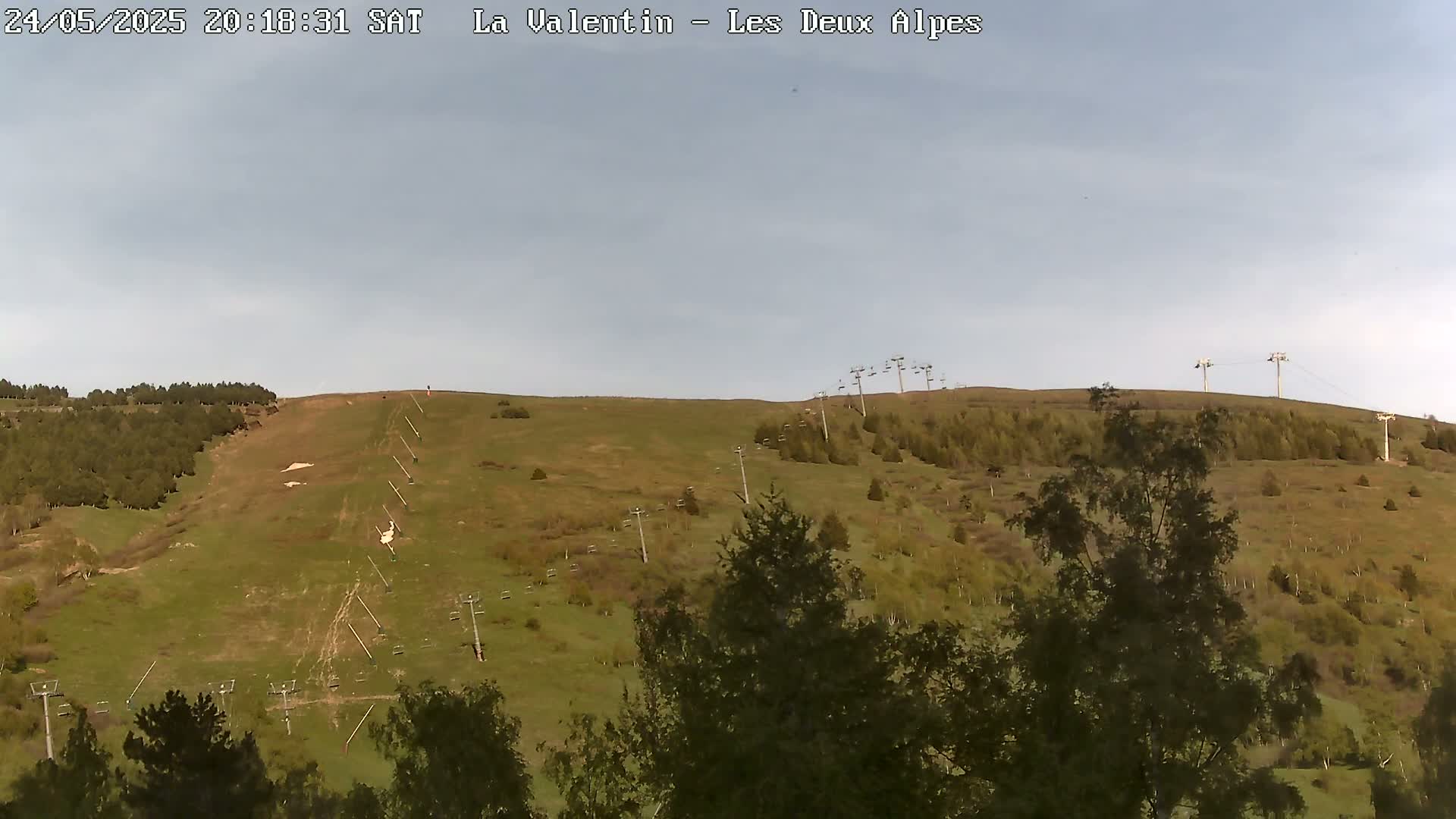 A grassy hillside with several ski lifts and scattered trees under a mostly clear sky.