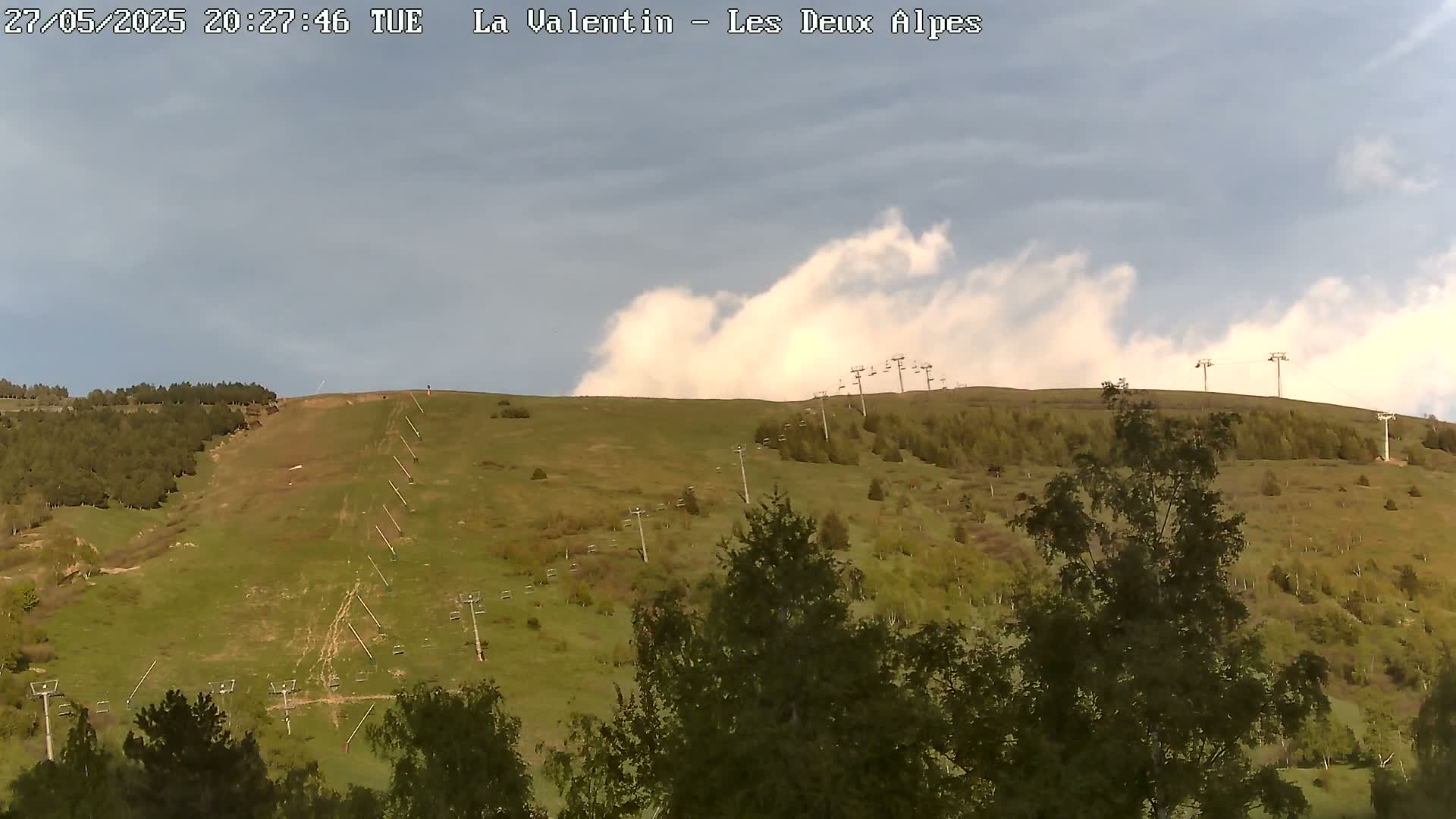 A grassy hillside with sparsely distributed trees and chairlifts under a partly cloudy sky.