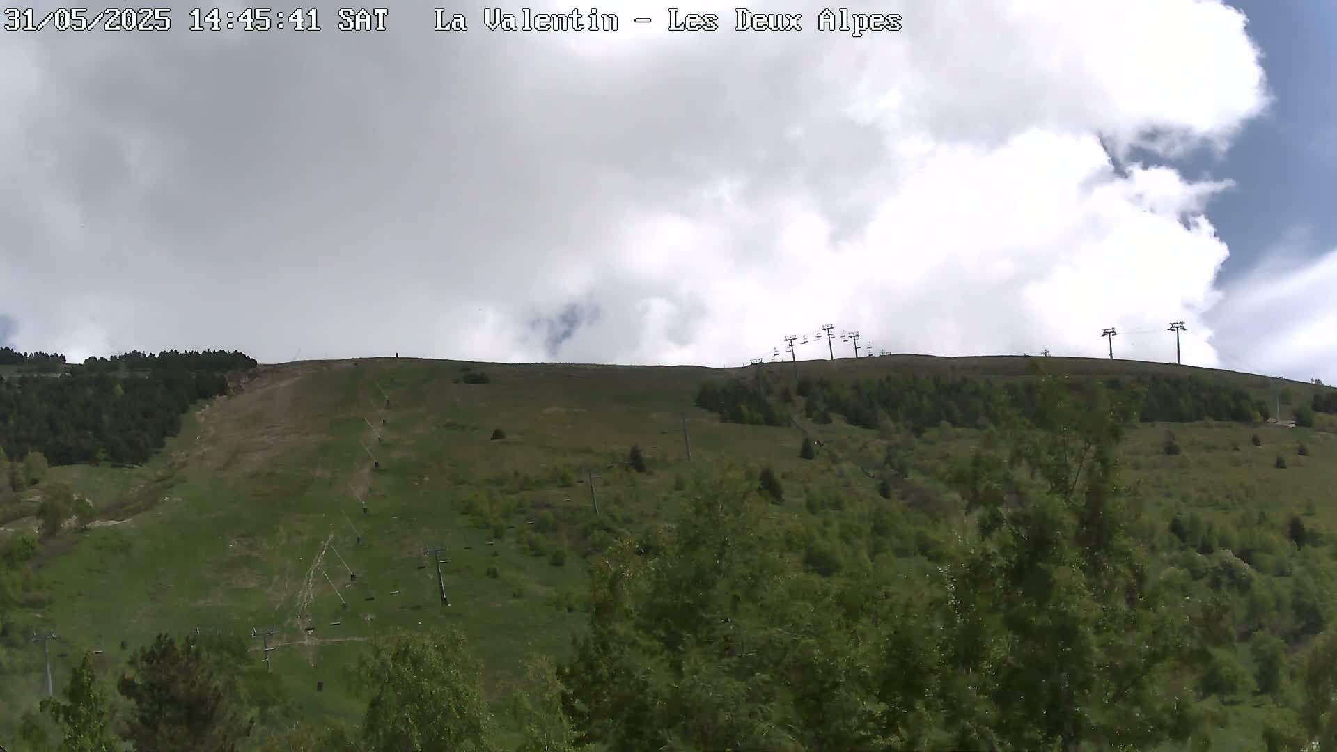 A grassy hillside with sparsely spaced trees and chairlifts under a partly cloudy sky.