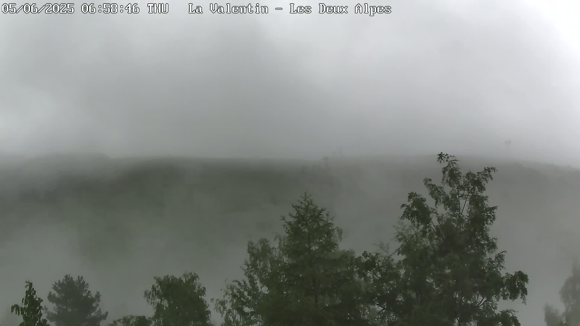 A foggy landscape shows a hillside covered in dark green trees.