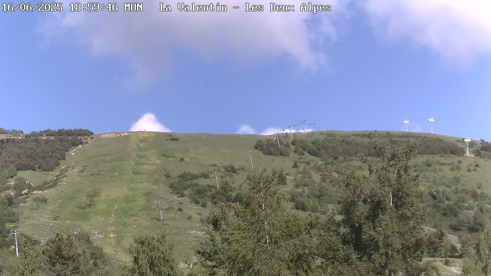 A grassy hillside with sparsely spaced trees and chairlifts under a partly cloudy blue sky.