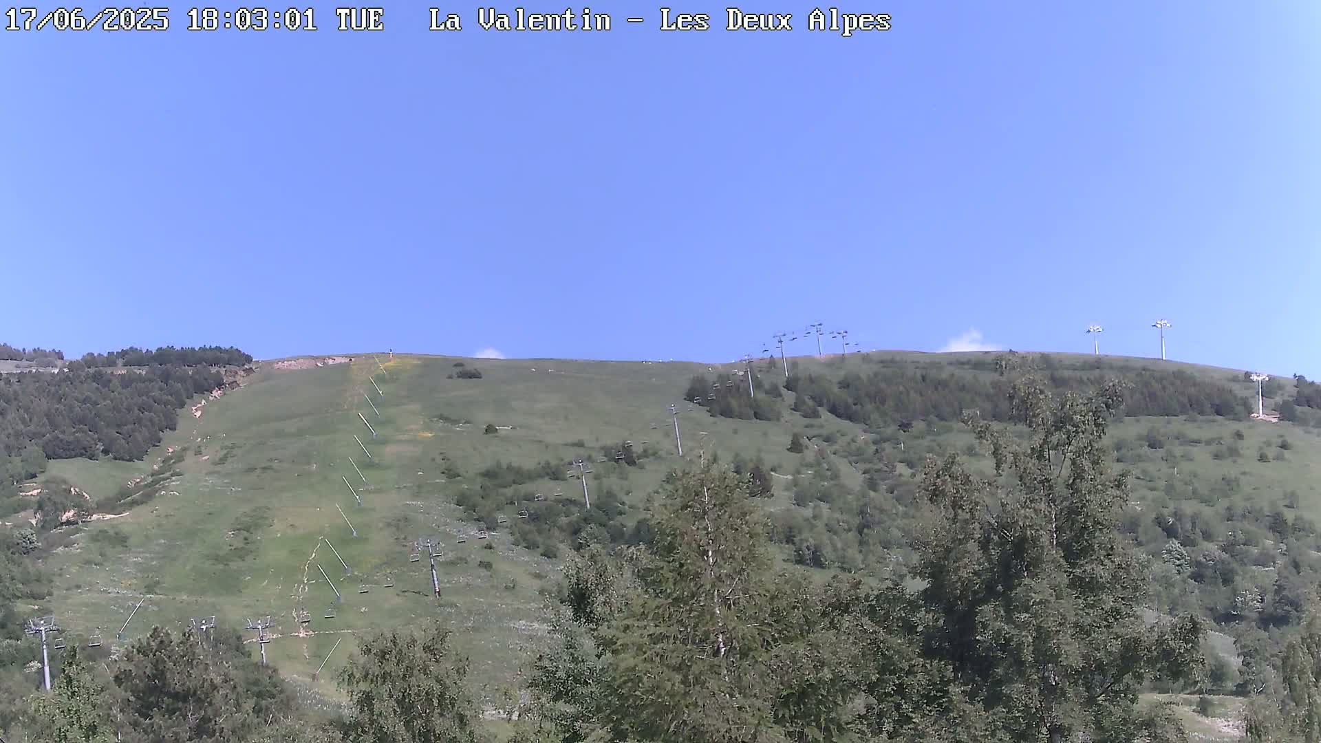 A grassy hillside with several chairlifts and scattered trees under a clear blue sky.