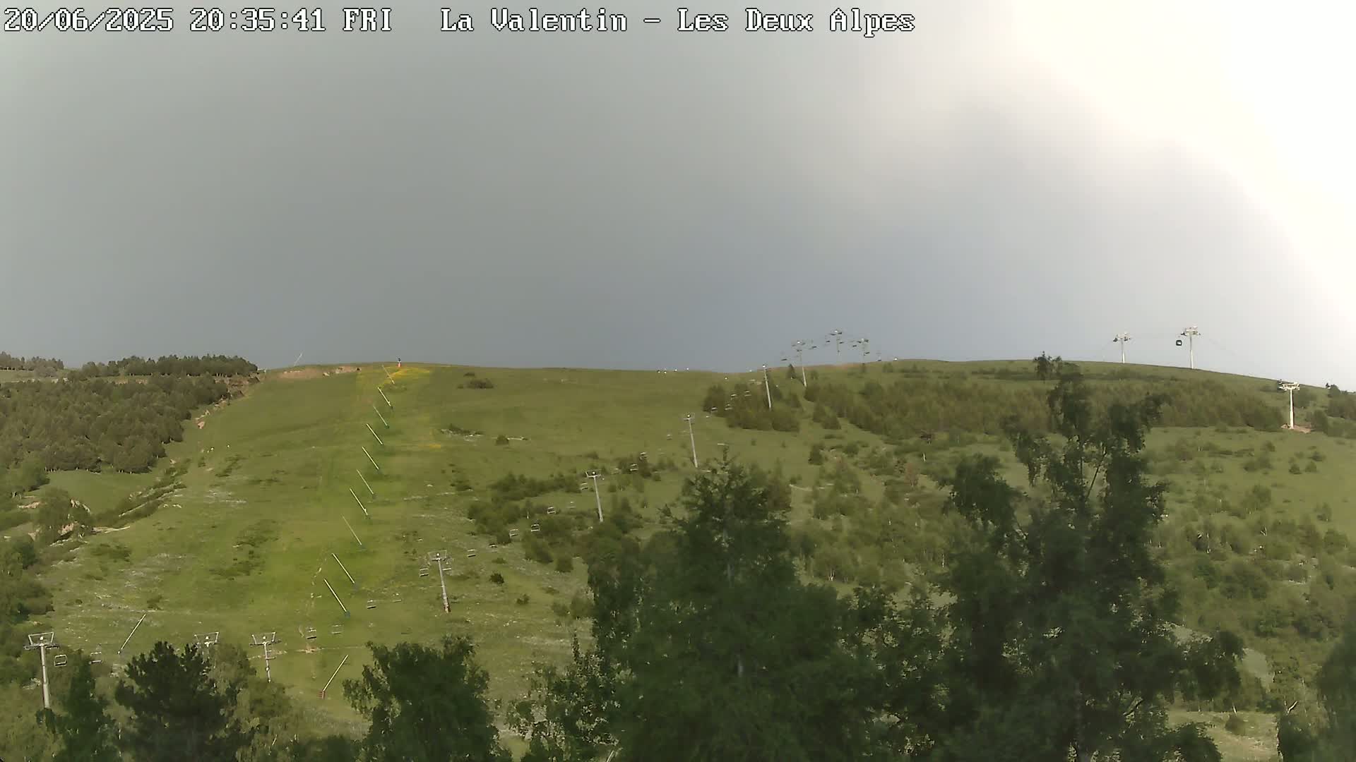 A grassy hillside dotted with trees and ski lifts under an overcast sky.