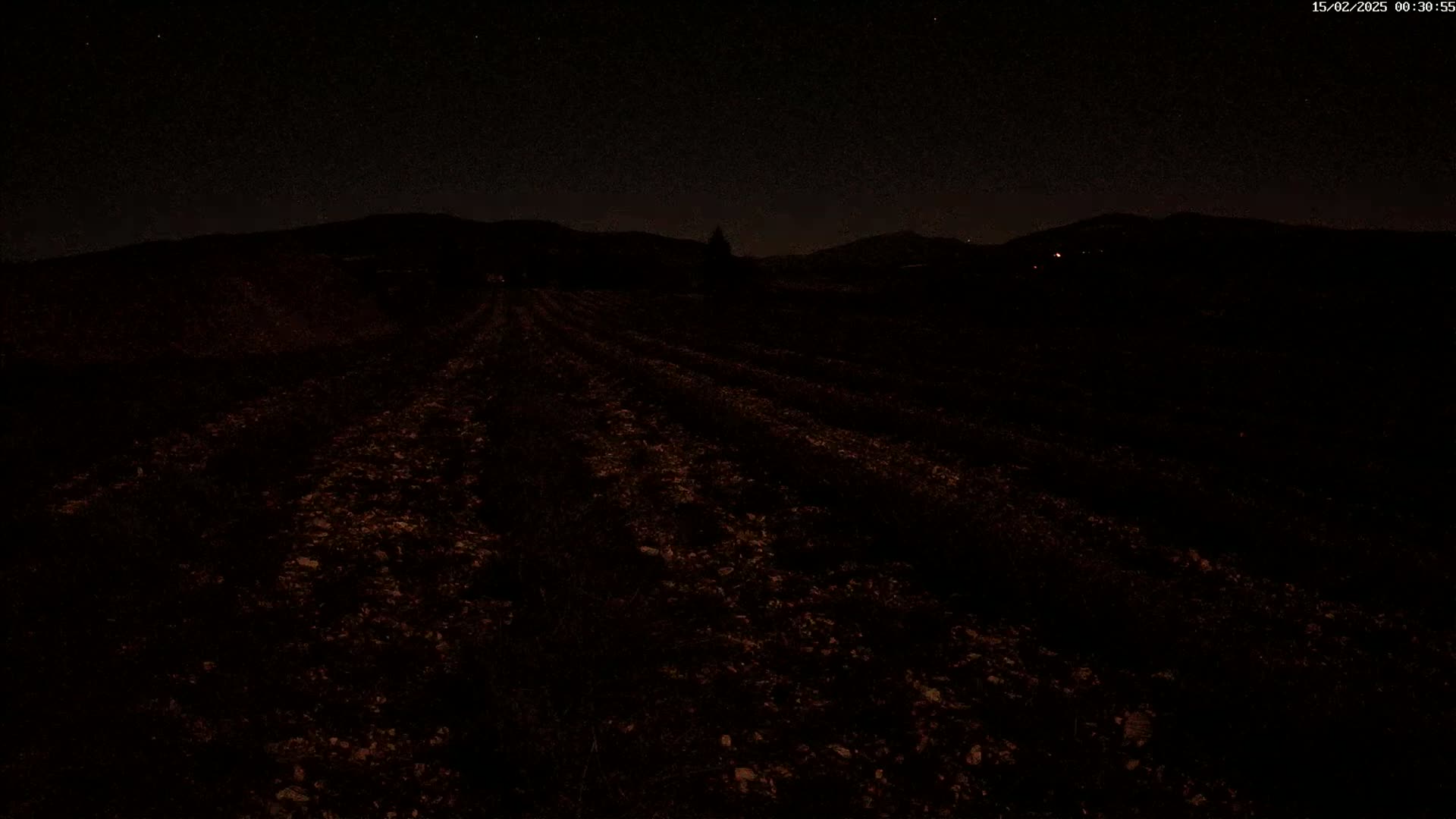 A dark, nighttime view of a field, possibly farmland, with rows faintly visible under a clear, starry sky.