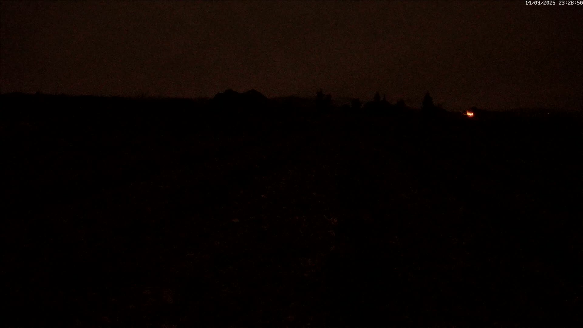 A dark, nighttime landscape shows a dimly lit horizon with a few silhouetted trees and buildings under a mostly clear sky.