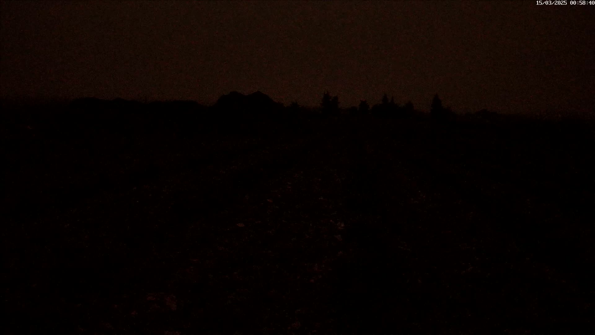 A dark, nighttime landscape shows a silhouetted line of trees and buildings against a dusky sky.