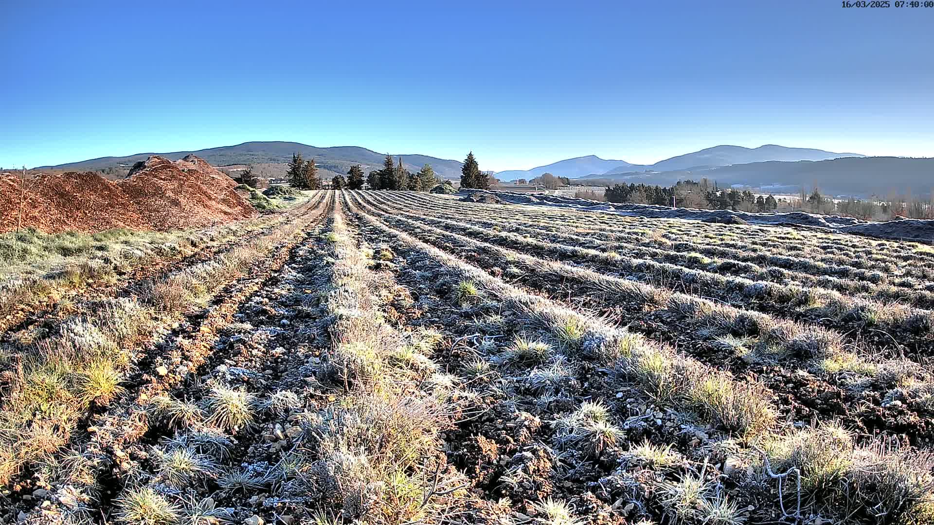 A frost-covered plowed field stretches towards distant mountains under a clear blue sky.