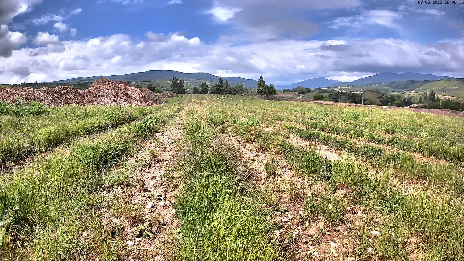 A grassy field with parallel rows and piles of wood chips stretches toward distant mountains under a partly cloudy sky.