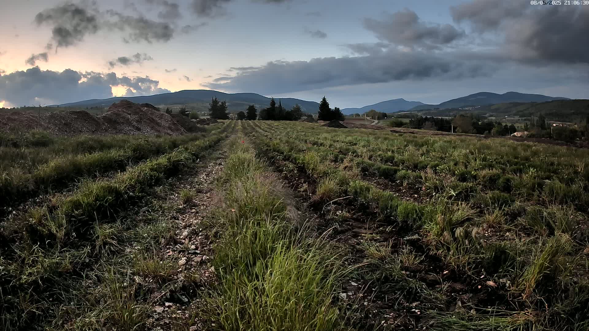 A dirt path winds through a young, grassy field under a cloudy sunset sky, with mountains in the distance and piles of dark earth to the left.