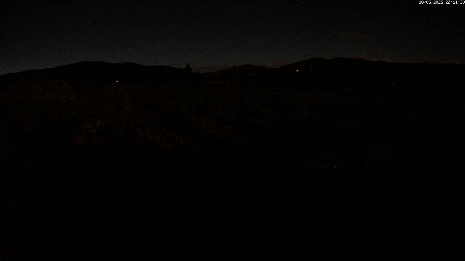 A dark, nighttime view of a field or vineyard, silhouetted against a starlit sky and distant hills.