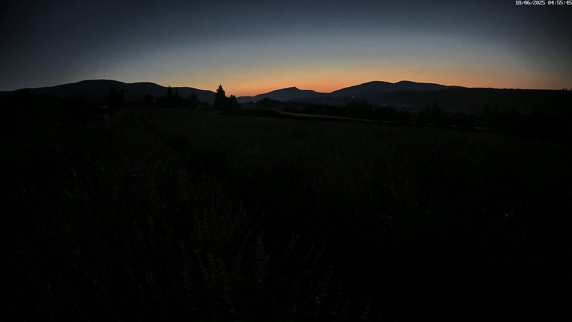 Sault - Pied du Ventoux Plant Field Panaromic Live Cam - Carpentras, Vaucluse, Provence-Alpes-Cote d’Azur, France