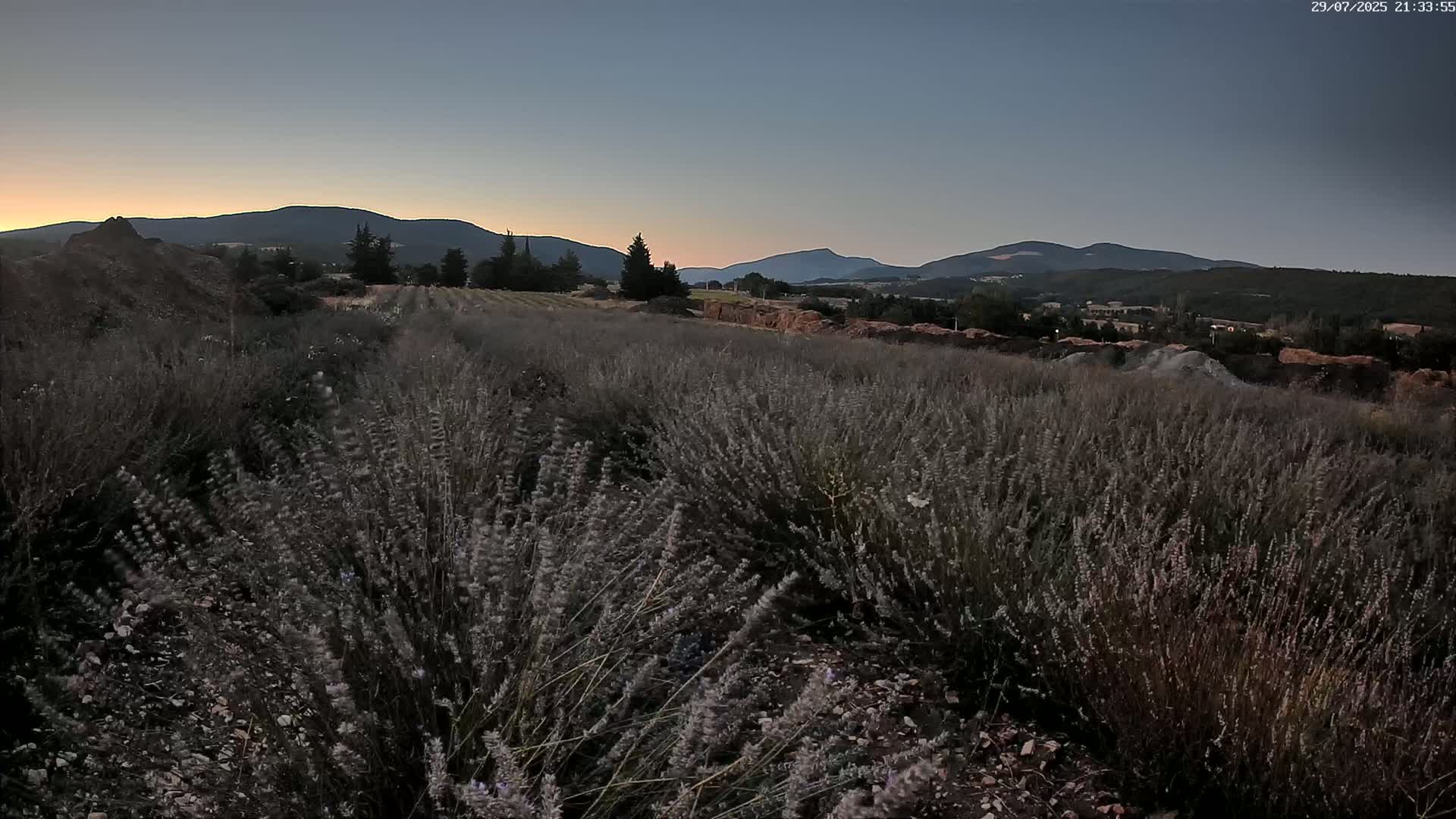 Sault - Pied du Ventoux Plant Field Panaromic Live Cam - Carpentras, Vaucluse, Provence-Alpes-Cote d’Azur, France