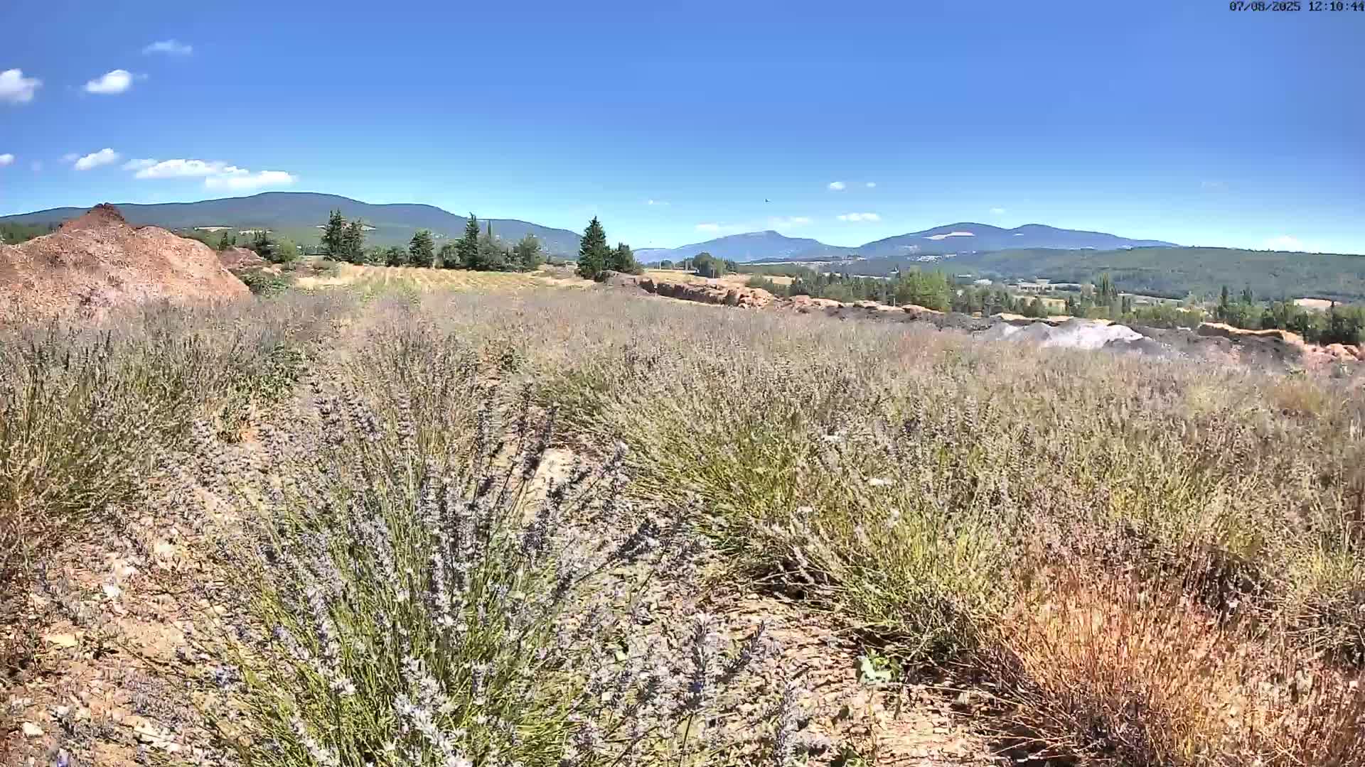 Sault - Pied du Ventoux Plant Field Panaromic Live Cam - Carpentras, Vaucluse, Provence-Alpes-Cote d’Azur, France