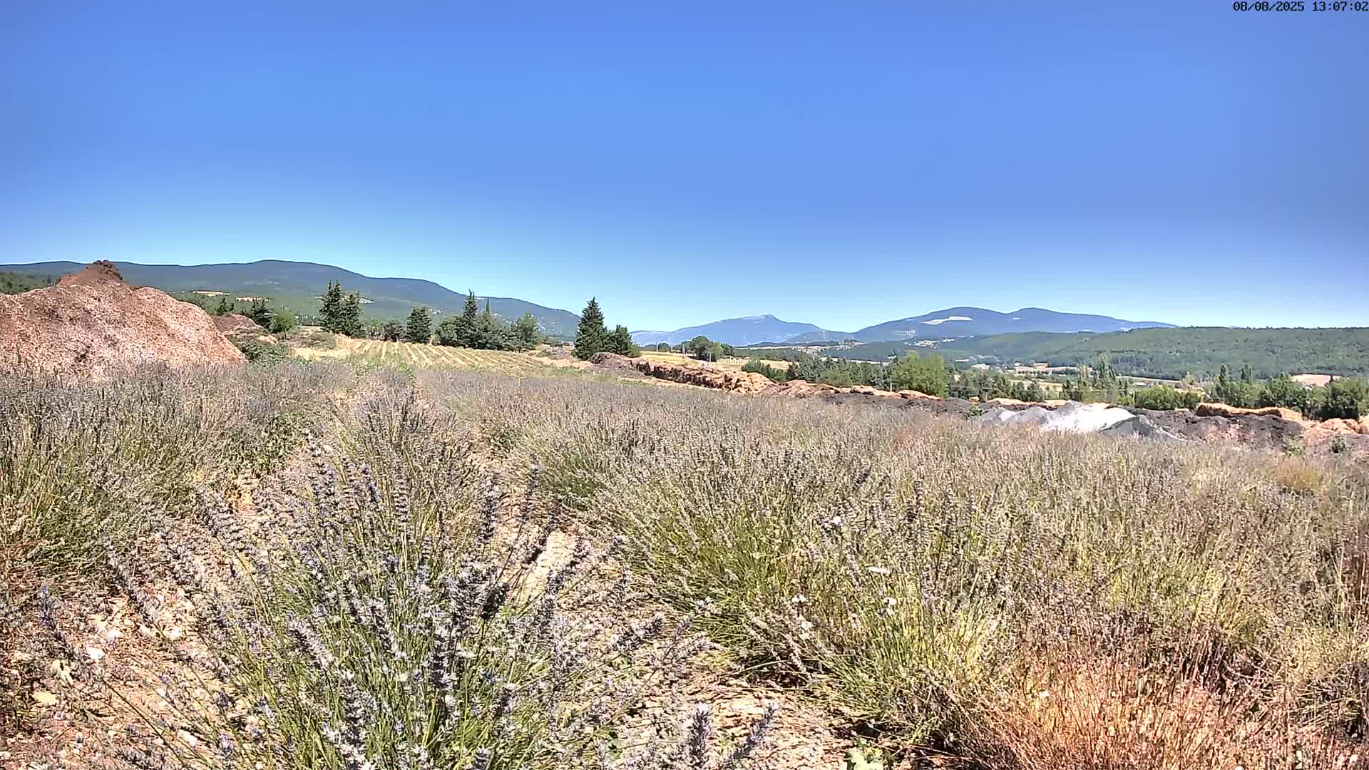 Sault - Pied du Ventoux Plant Field Panaromic Live Cam - Carpentras, Vaucluse, Provence-Alpes-Cote d’Azur, France