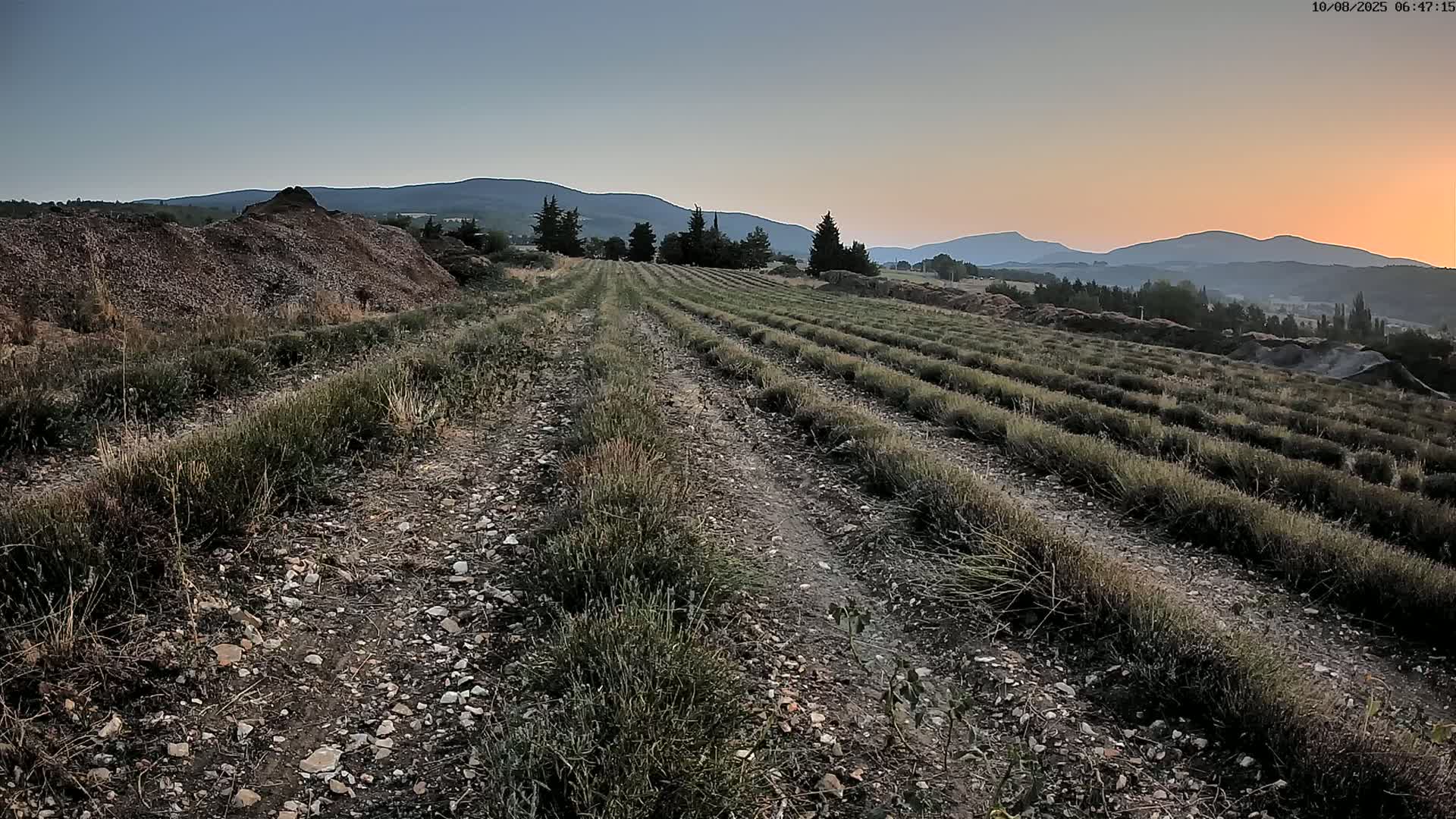 Sault - Pied du Ventoux Plant Field Panaromic Live Cam - Carpentras, Vaucluse, Provence-Alpes-Cote d’Azur, France