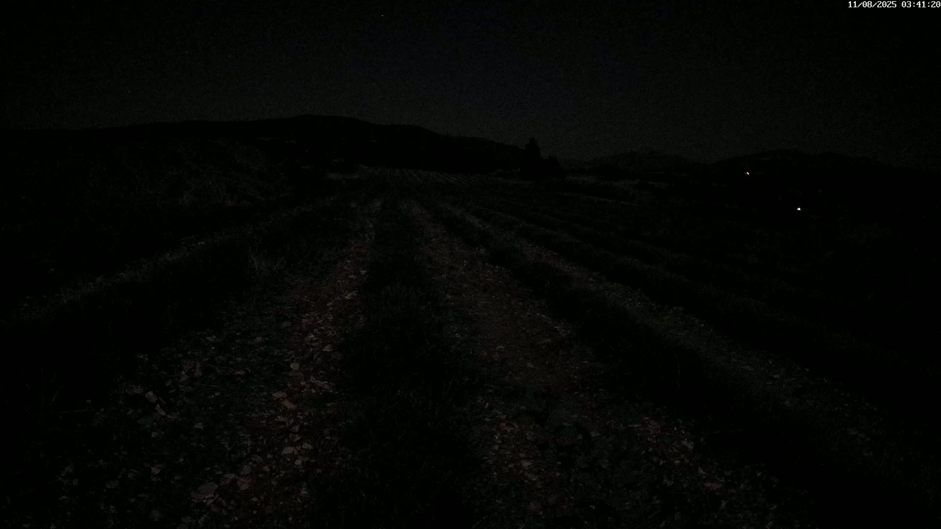 Sault - Pied du Ventoux Plant Field Panaromic Live Cam - Carpentras, Vaucluse, Provence-Alpes-Cote d’Azur, France