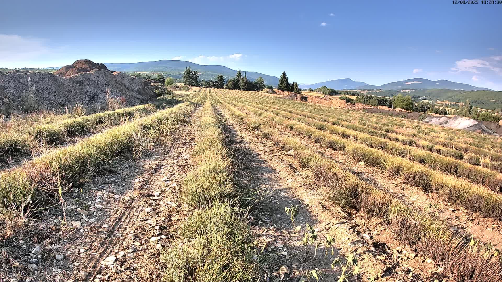 Sault - Pied du Ventoux Plant Field Panaromic Live Cam - Carpentras, Vaucluse, Provence-Alpes-Cote d’Azur, France
