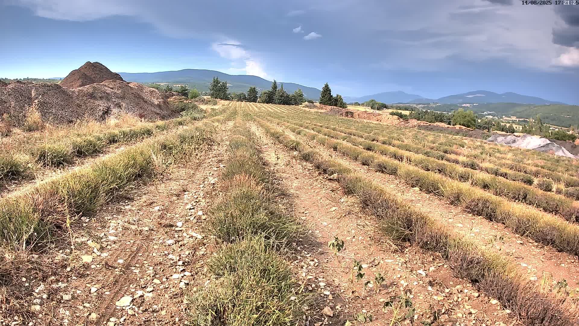 Sault - Pied du Ventoux Plant Field Panaromic Live Cam - Carpentras, Vaucluse, Provence-Alpes-Cote d’Azur, France