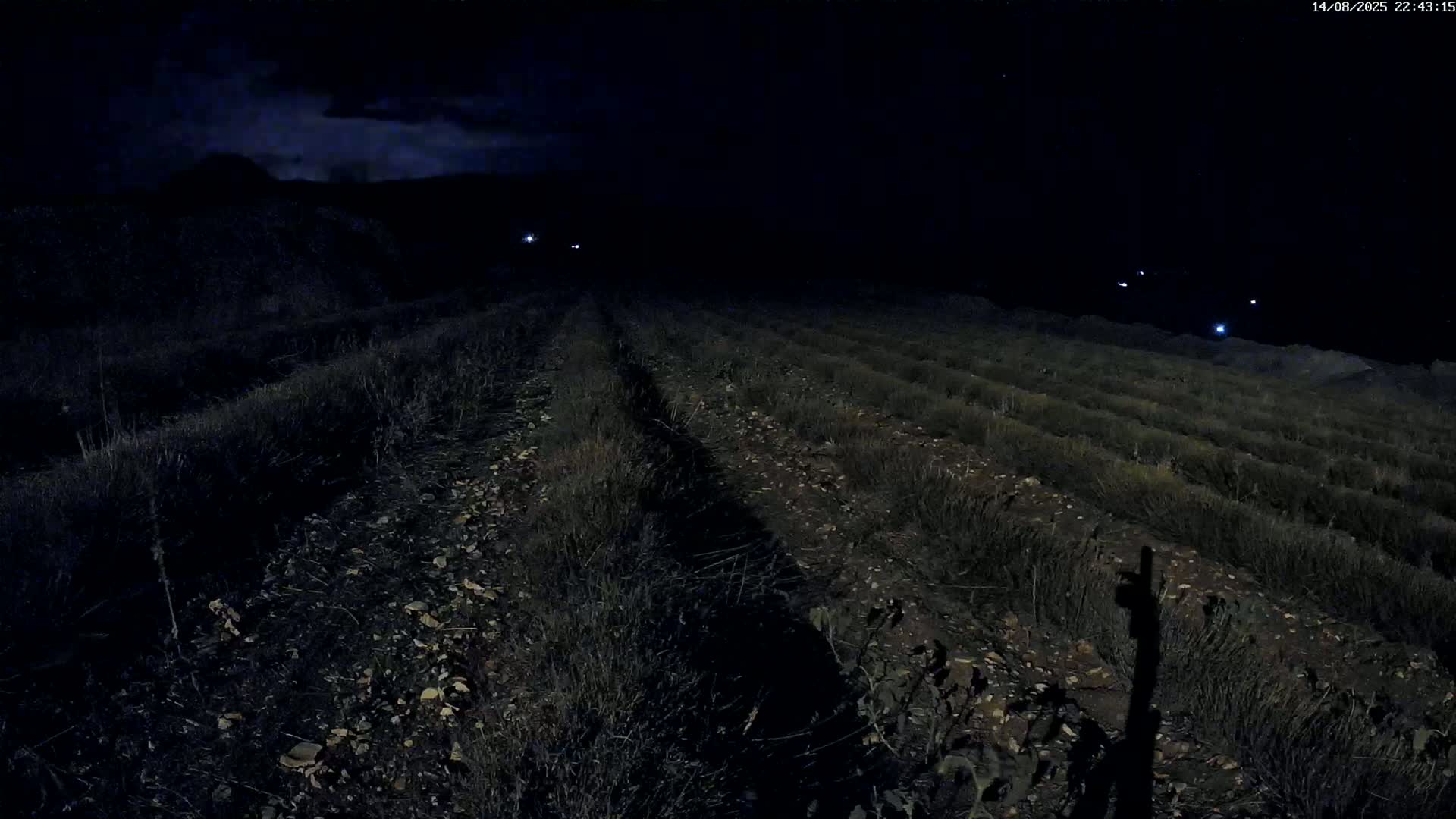 Sault - Pied du Ventoux Plant Field Panaromic Live Cam - Carpentras, Vaucluse, Provence-Alpes-Cote d’Azur, France