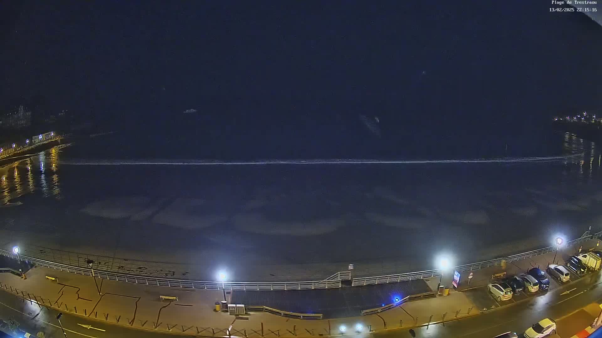 A nighttime view of a beach with a calm ocean, gently lapping waves, and a boardwalk with parked cars under wet streetlights.