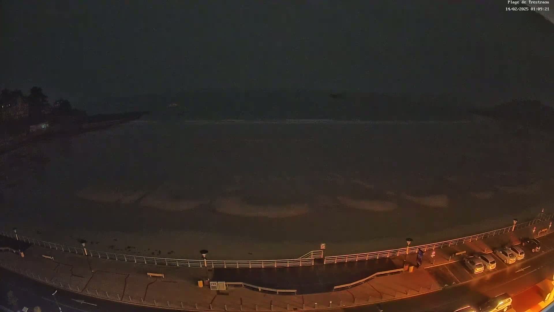 A dark, nighttime view of a mostly empty beach with calm waves lapping the shore, a roadway, and several parked cars.