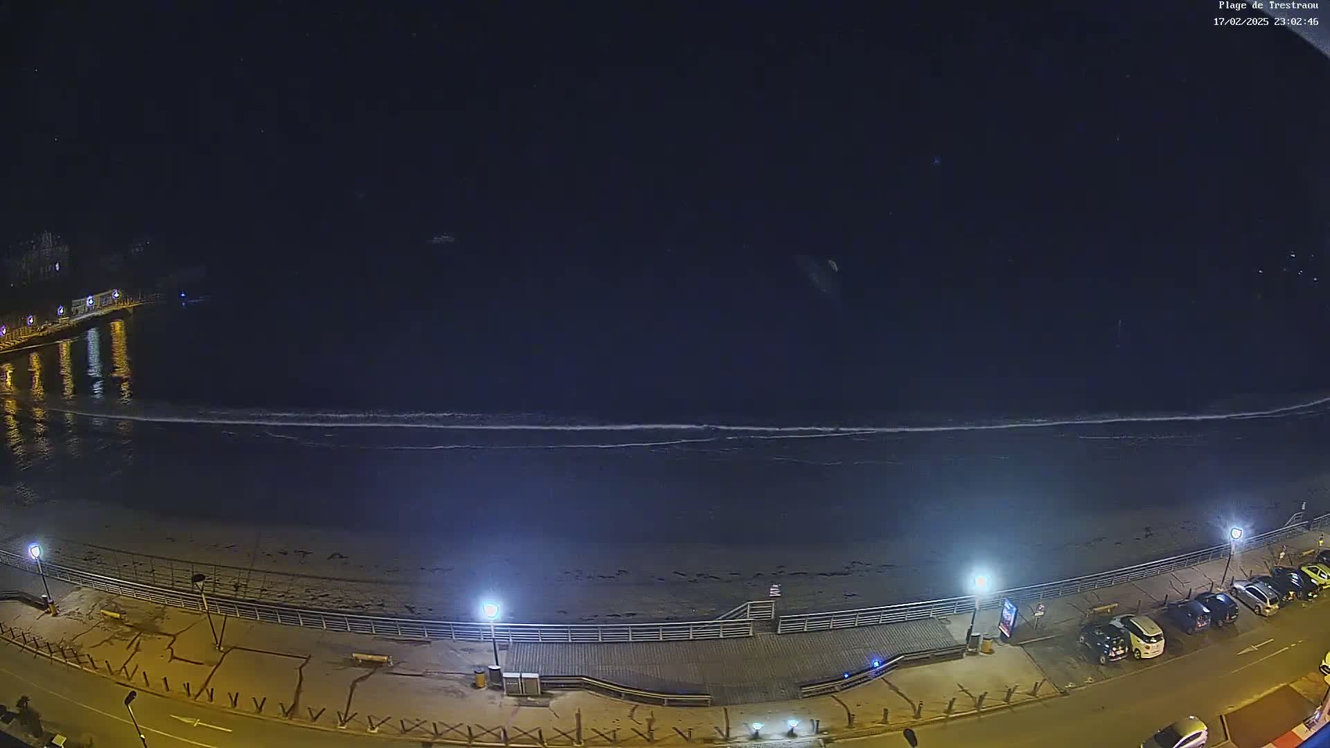 A nighttime, high-angle view shows a dark ocean with small waves lapping a beach lined with lights and parked cars.