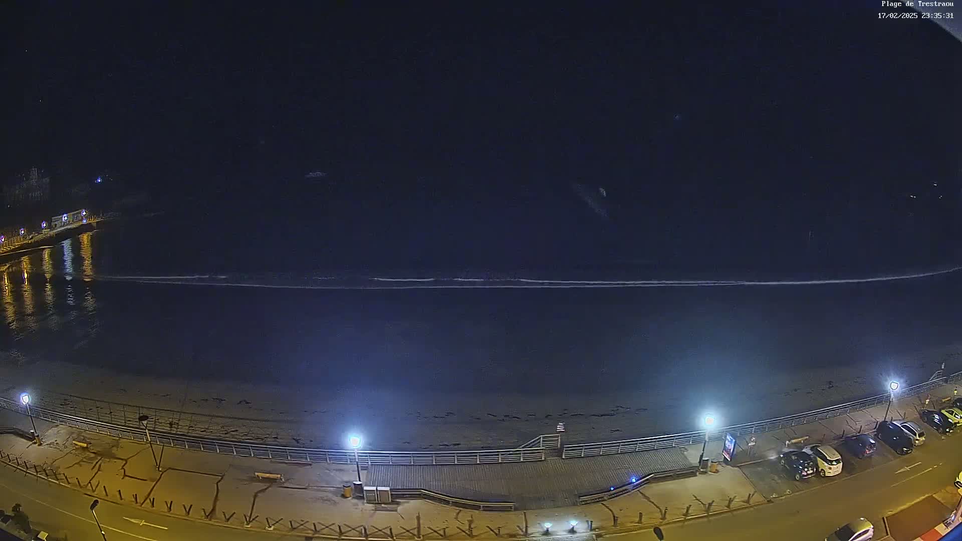 A nighttime view of a dark ocean with small waves lapping a beach, which is lined with a boardwalk, lights, and parked cars.