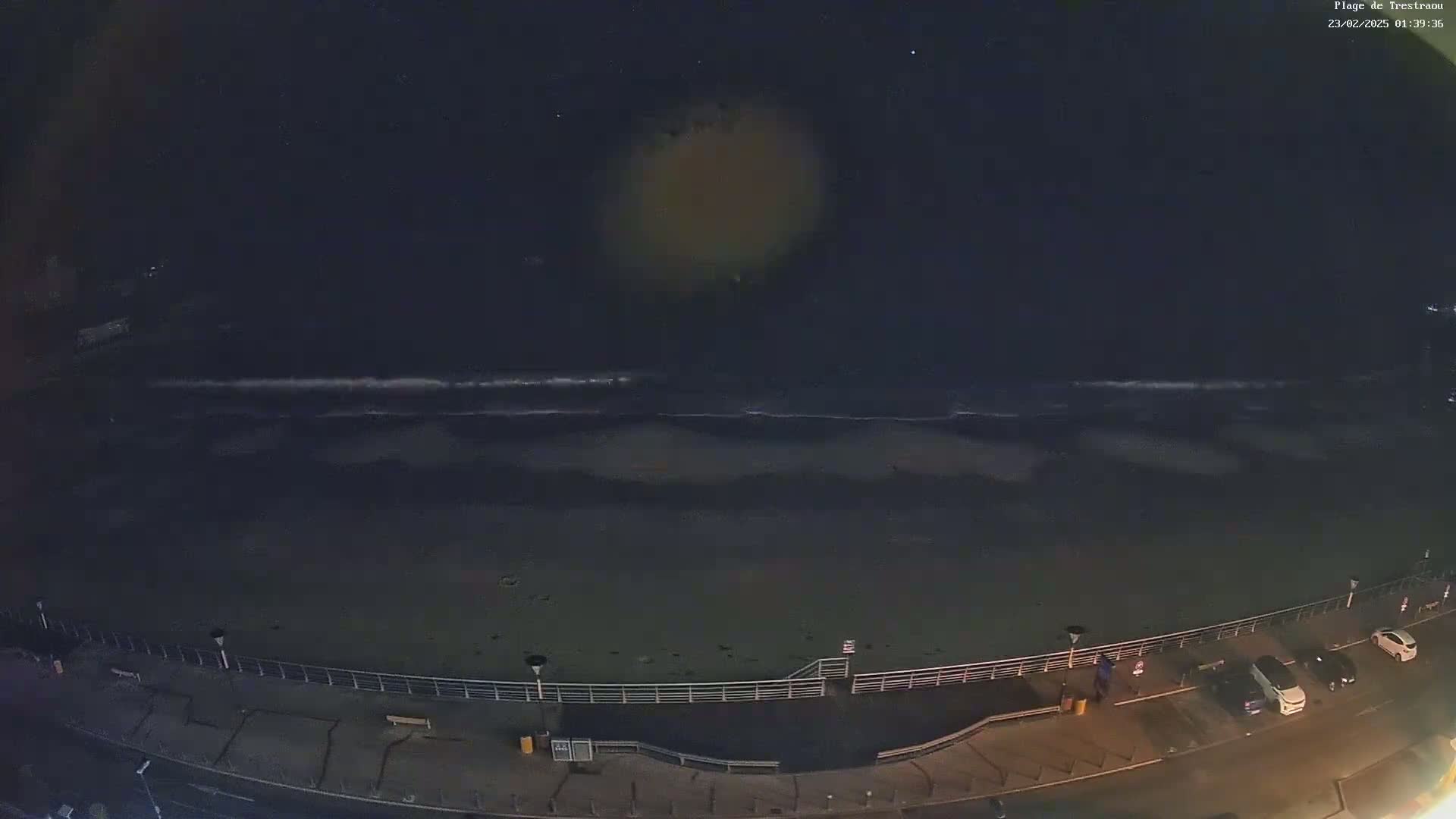 A dark, nighttime view of a beach with gentle waves lapping the shore, a promenade with parked cars, and a few people visible.