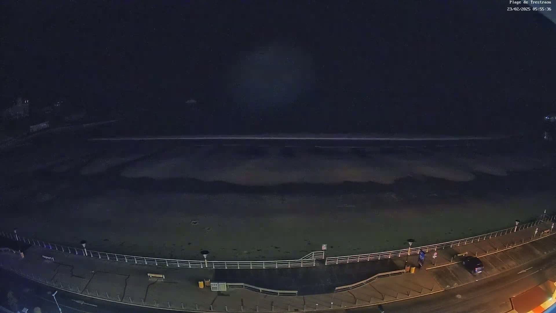 A dark, nighttime view of a beach with a calm ocean and a boardwalk, illuminated by streetlights.