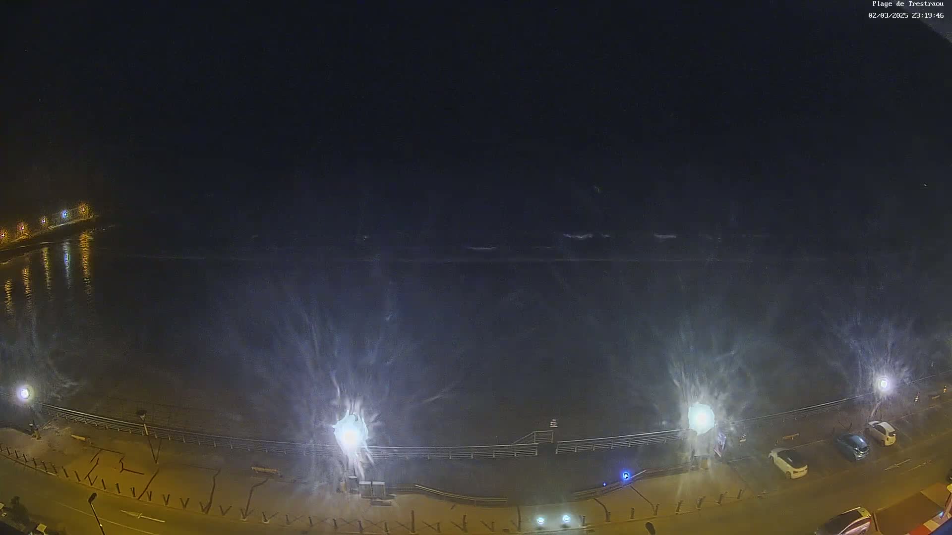A nighttime view of a beach with a calm ocean, illuminated by streetlights, and a few parked cars along a roadway.