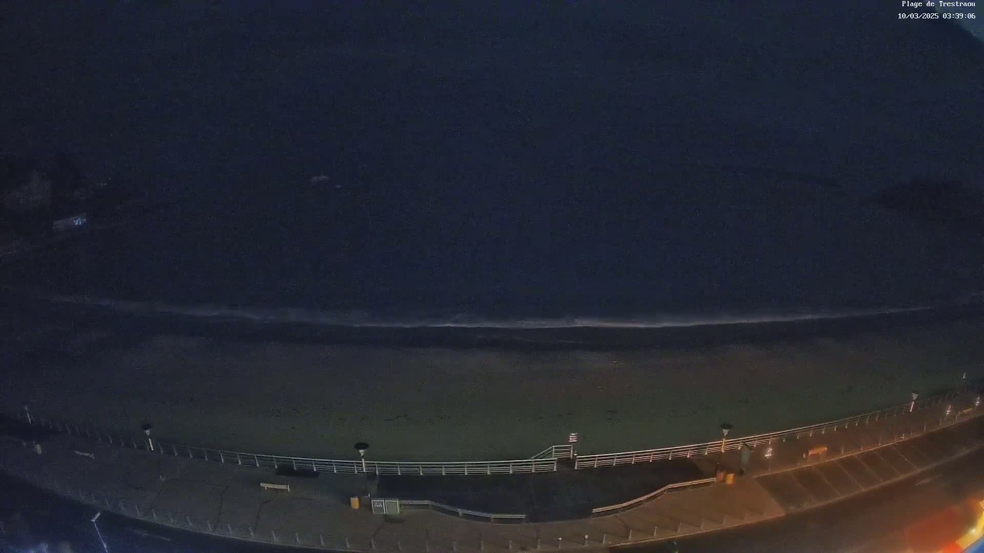 A dark nighttime view of a beach with a calm ocean, a boardwalk, and street lights.