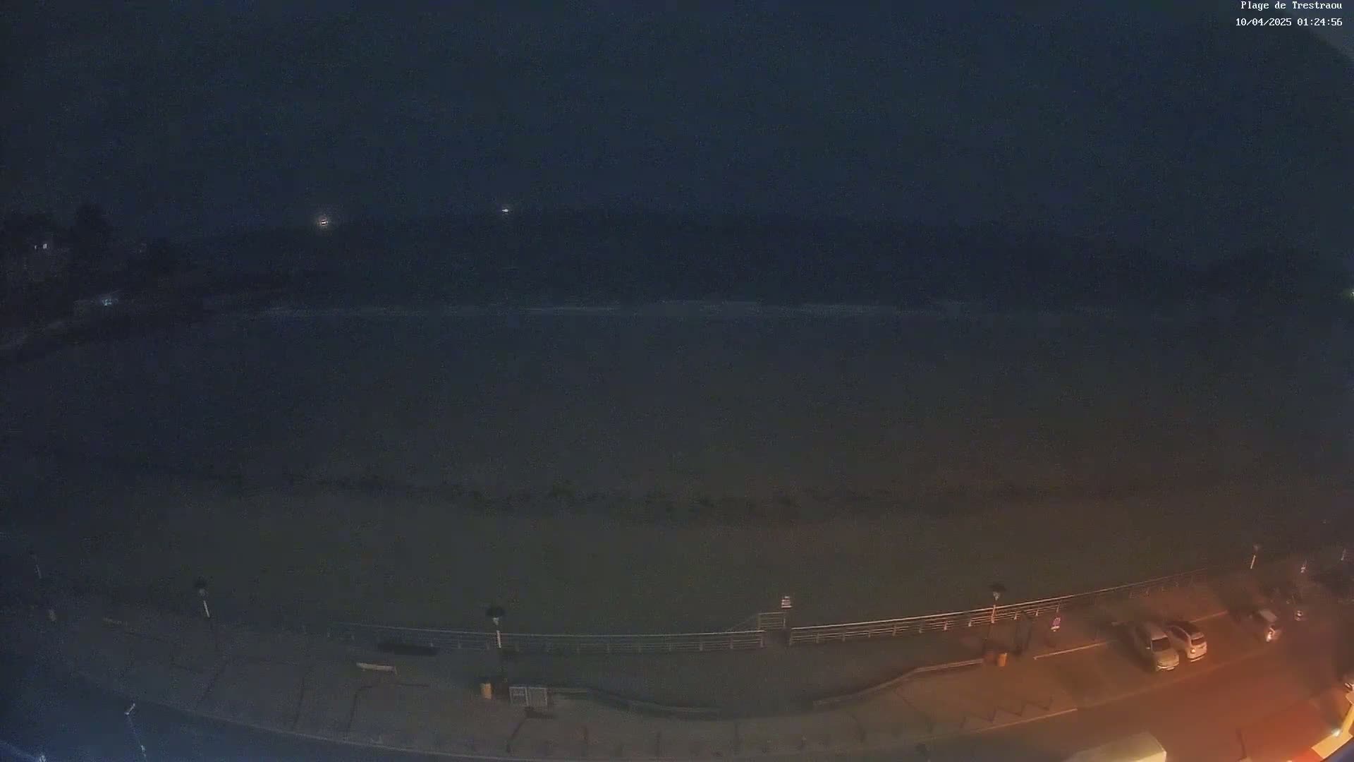 A dark, nighttime view of a beach with gently lapping waves and a few parked cars visible along a roadway.