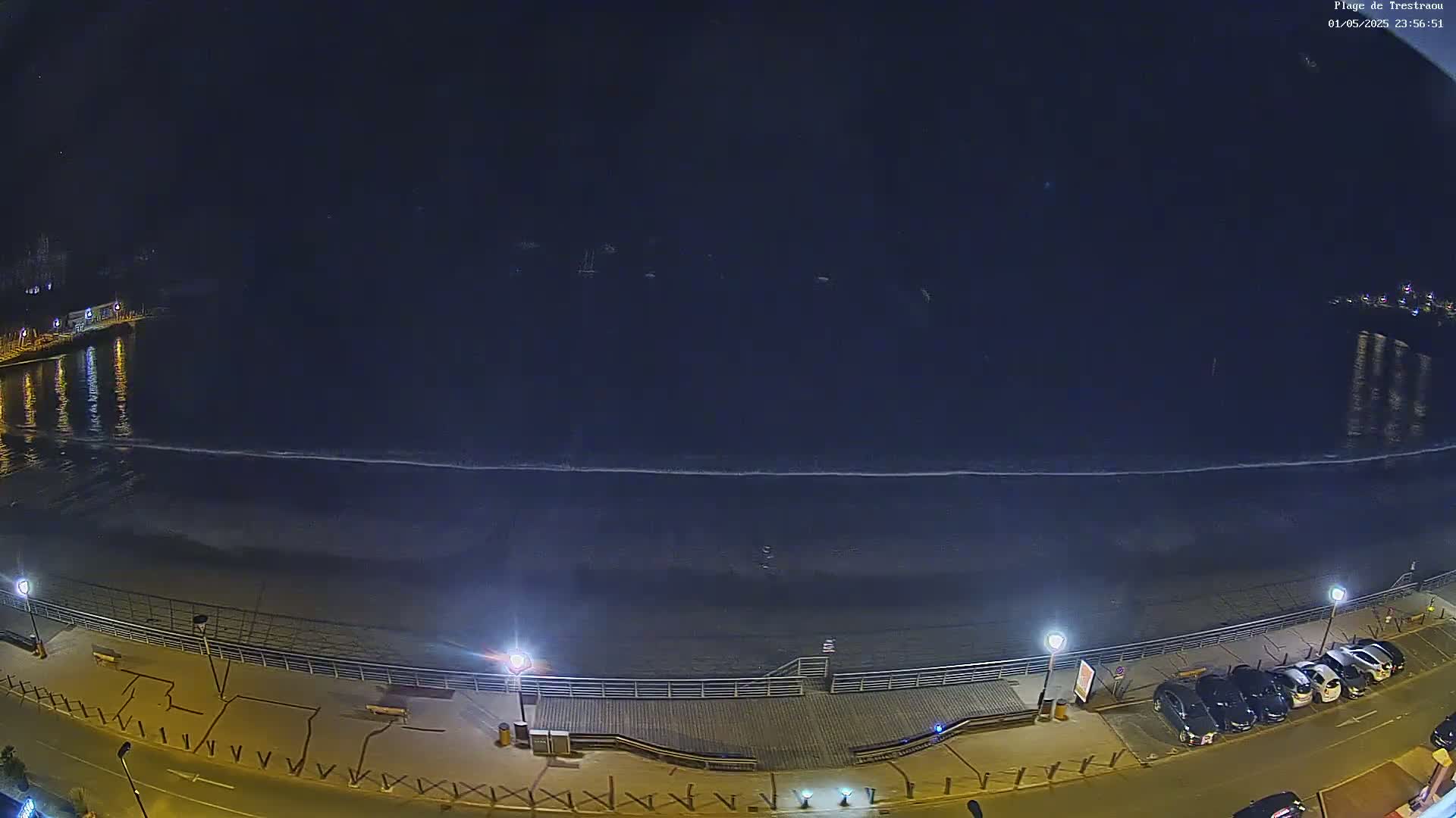 A nighttime view of a dark ocean with a gently lapping wave line near a boardwalk and parked cars along a street.