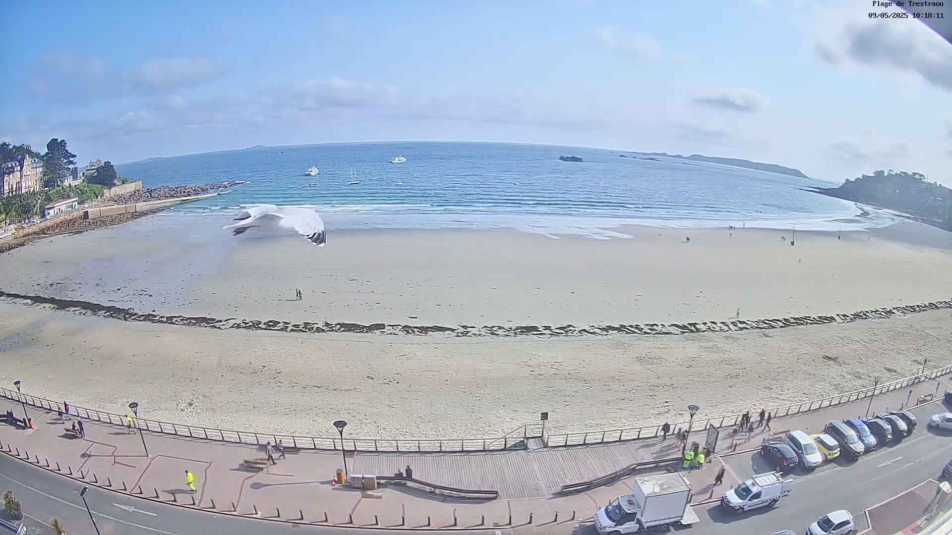A seagull flies over a sandy beach on a sunny day, with a few people scattered on the sand and parked cars along a promenade next to the beach.