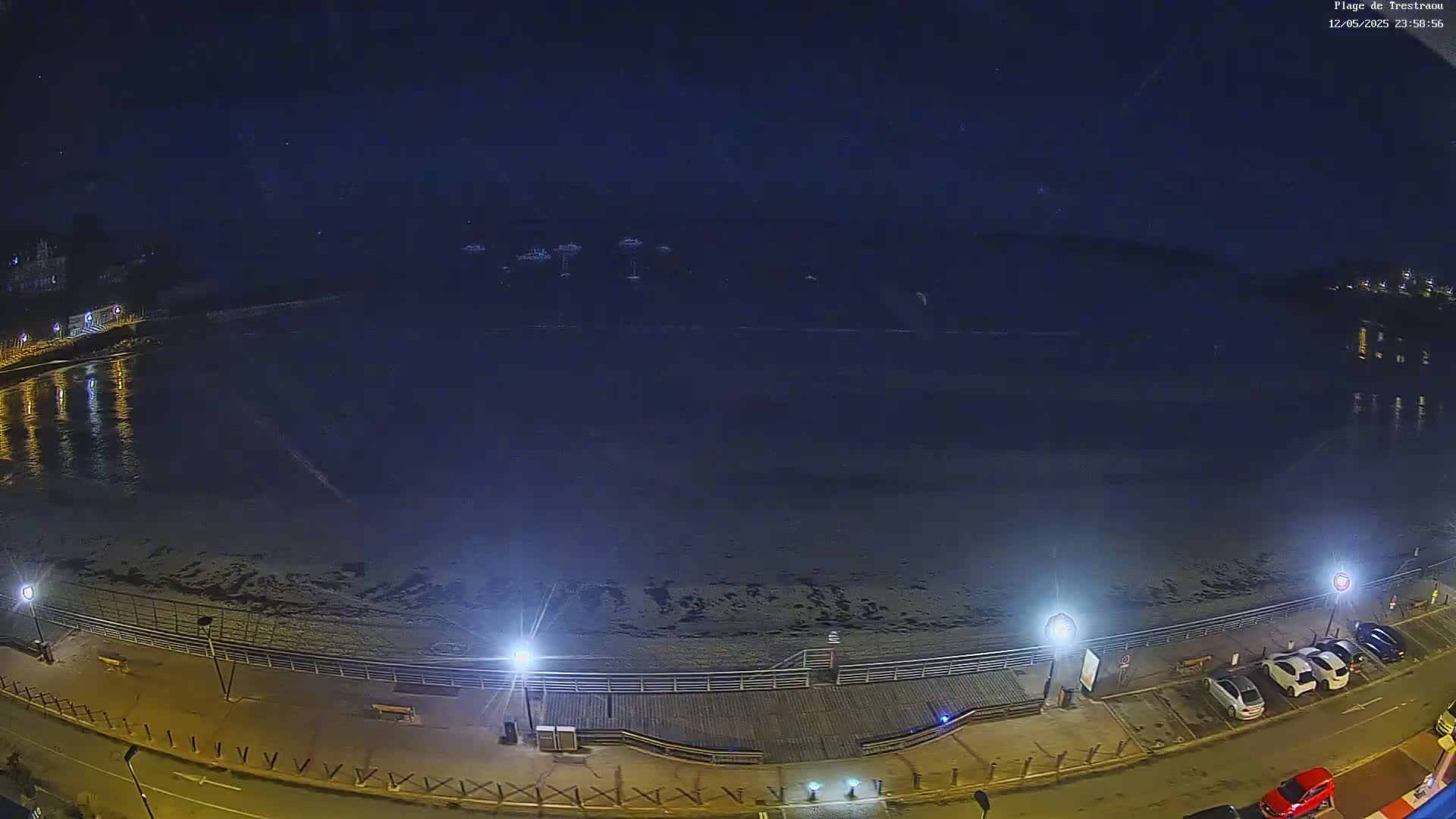 A nighttime, high-angle view of a calm body of water next to a boardwalk with parked cars and streetlights.