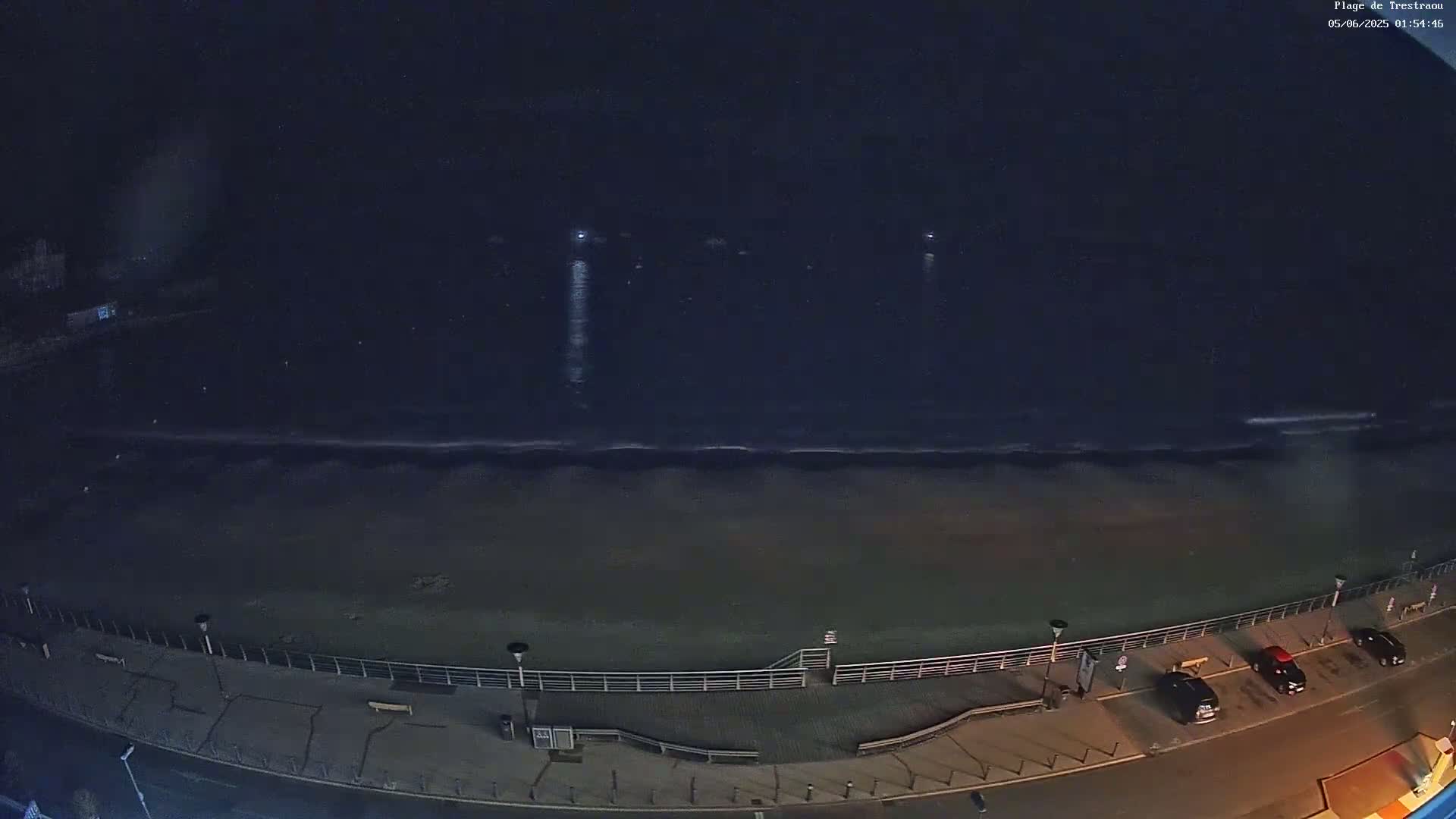 A dark, nighttime beach scene shows gentle waves lapping the shore under a clear, starlit sky.