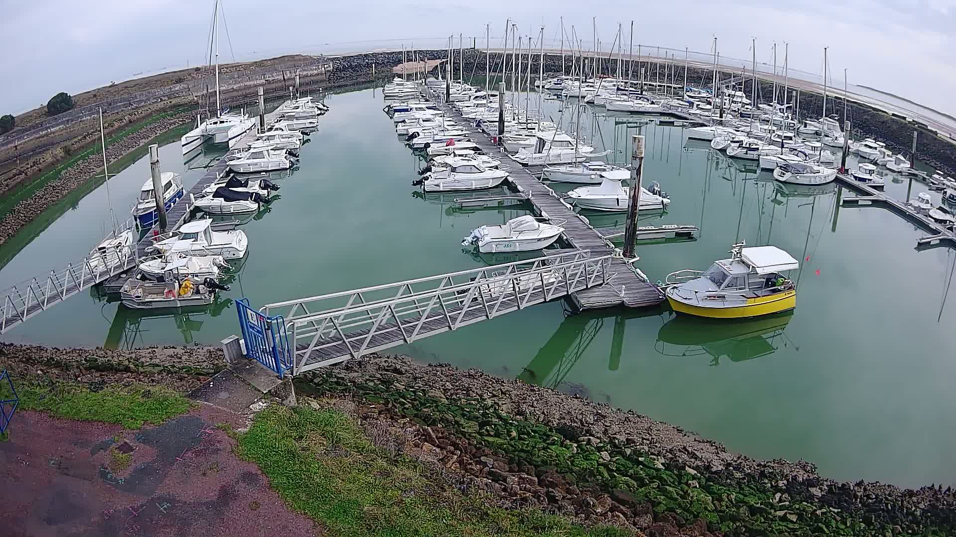 A marina filled with numerous sailboats and motorboats on a calm, overcast day.