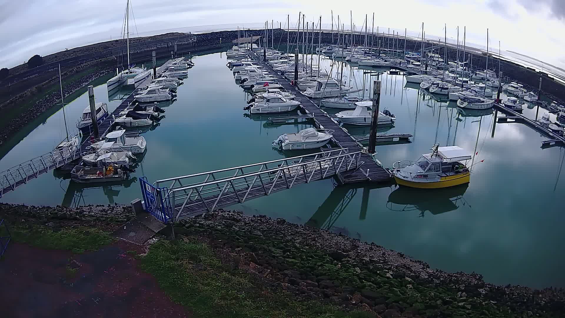 A marina filled with numerous boats docked at piers, under an overcast sky, with calm, teal-colored water.