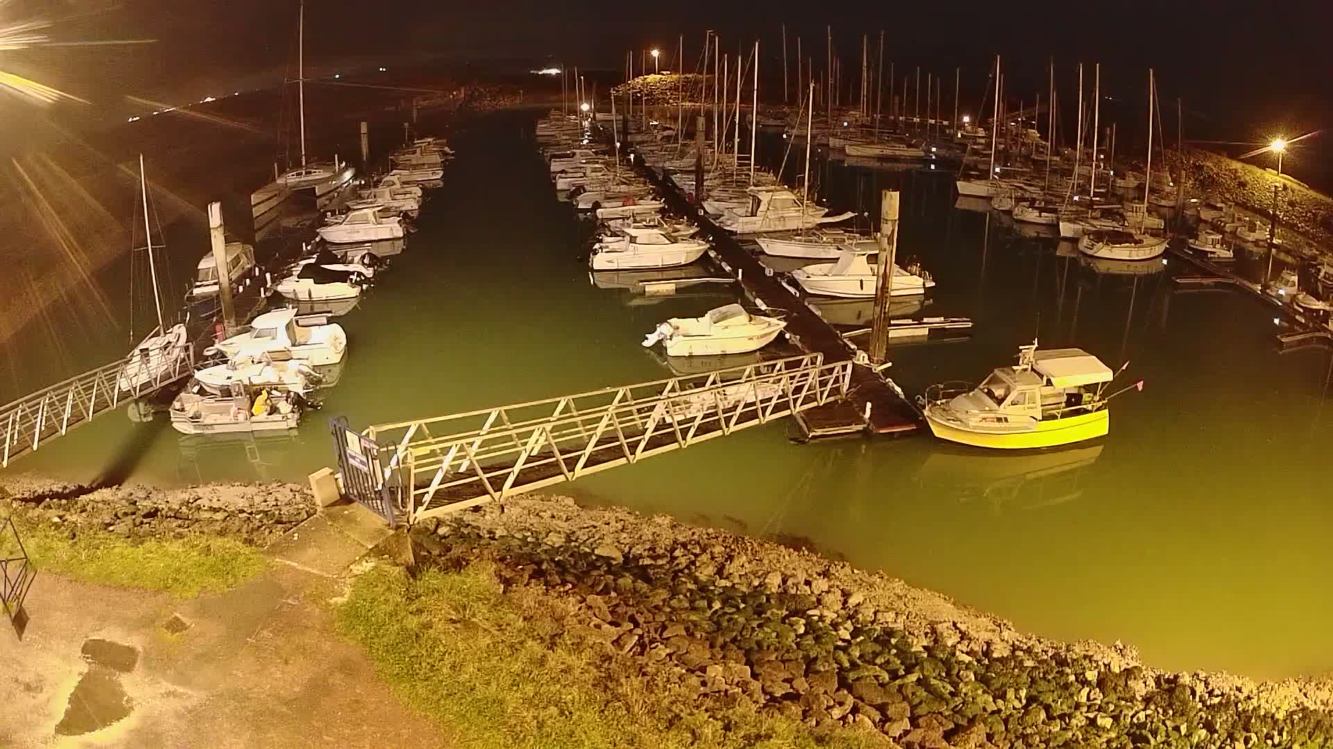 Many boats are docked at a marina at night, illuminated by artificial lights, in calm, greenish water.